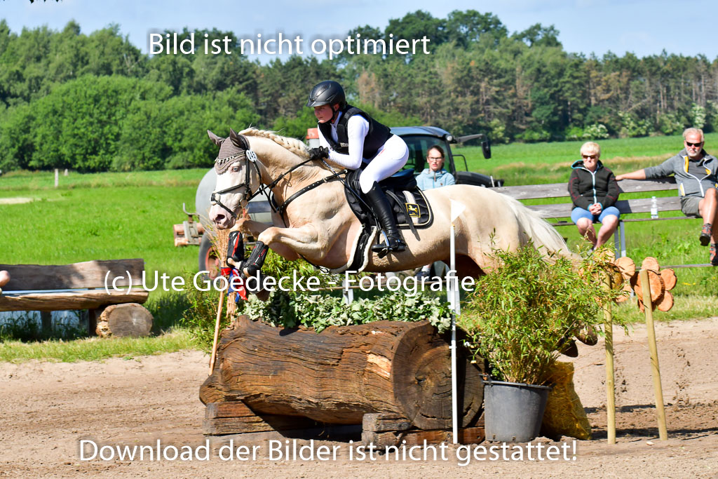 Goldene Schärpe PFerde  in Löningen  11+12.6.22 | 11062022 - Gelände 1 Abt_0432 