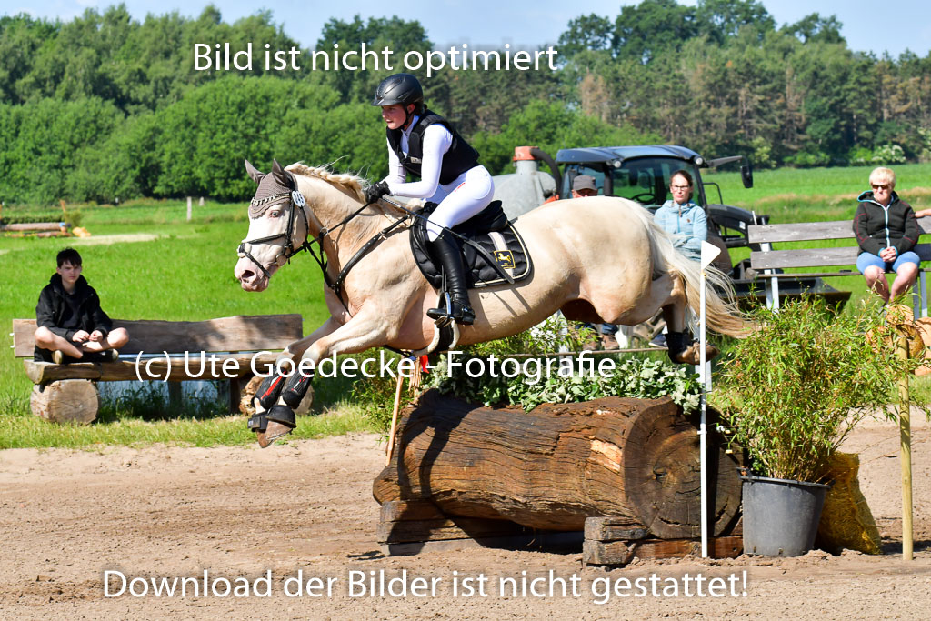 Goldene Schärpe PFerde  in Löningen  11+12.6.22 | 11062022 - Gelände 1 Abt_0433 