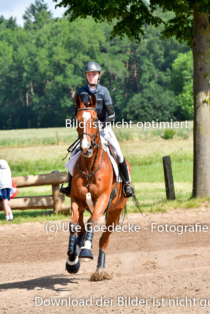 Goldene Schärpe PFerde  in Löningen  11+12.6.22 | 11062022 - Gelände 1 Abt_0434 