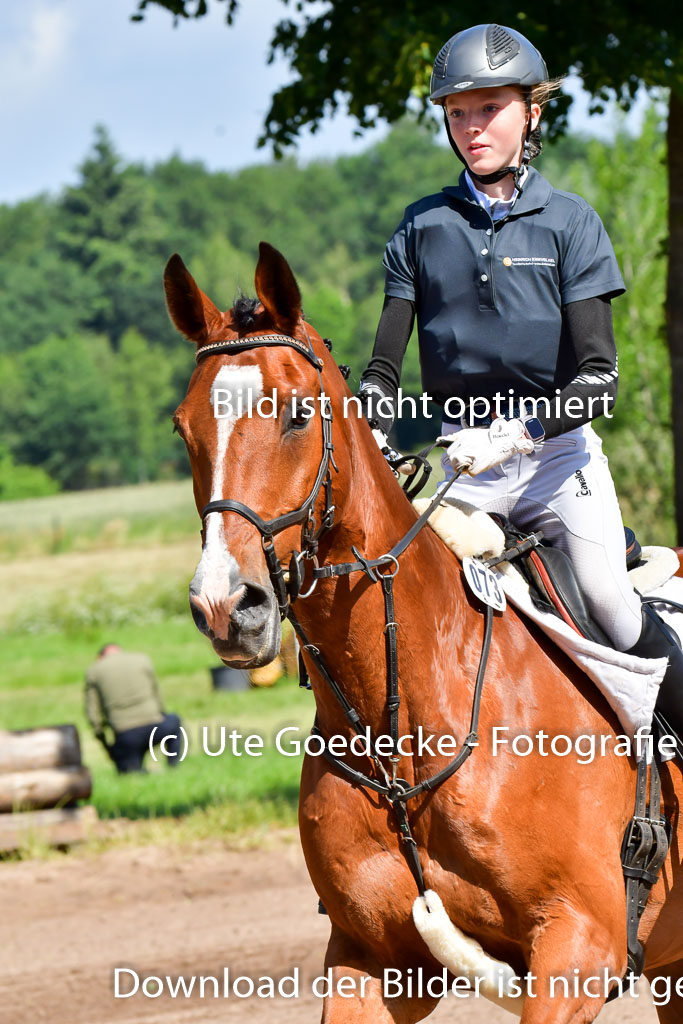 Goldene Schärpe PFerde  in Löningen  11+12.6.22 | 11062022 - Gelände 1 Abt_0436 