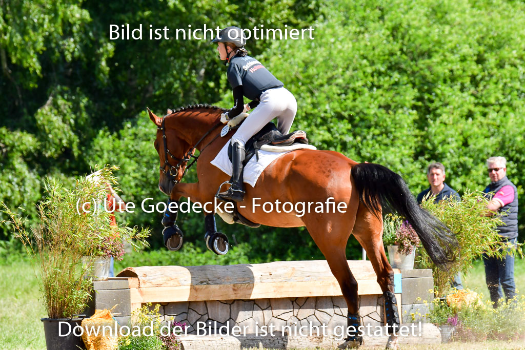 Goldene Schärpe PFerde  in Löningen  11+12.6.22 | 11062022 - Gelände 1 Abt_0437 