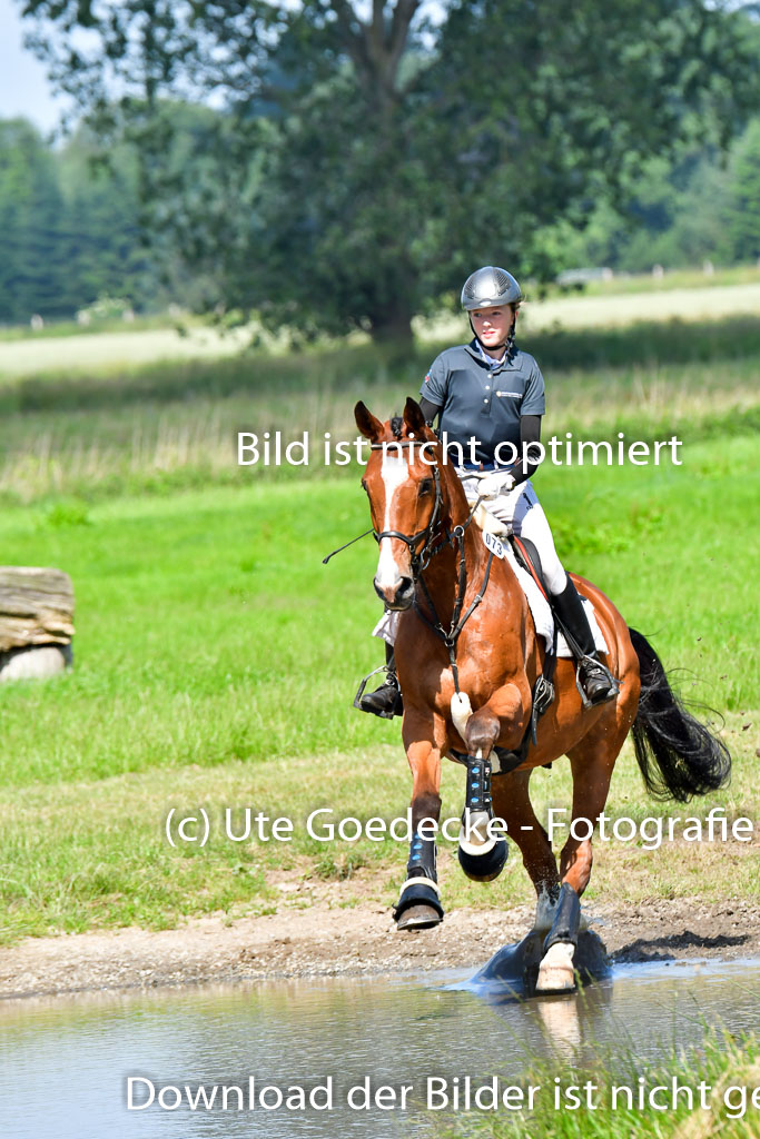 Goldene Schärpe PFerde  in Löningen  11+12.6.22 | 11062022 - Gelände 1 Abt_0438 