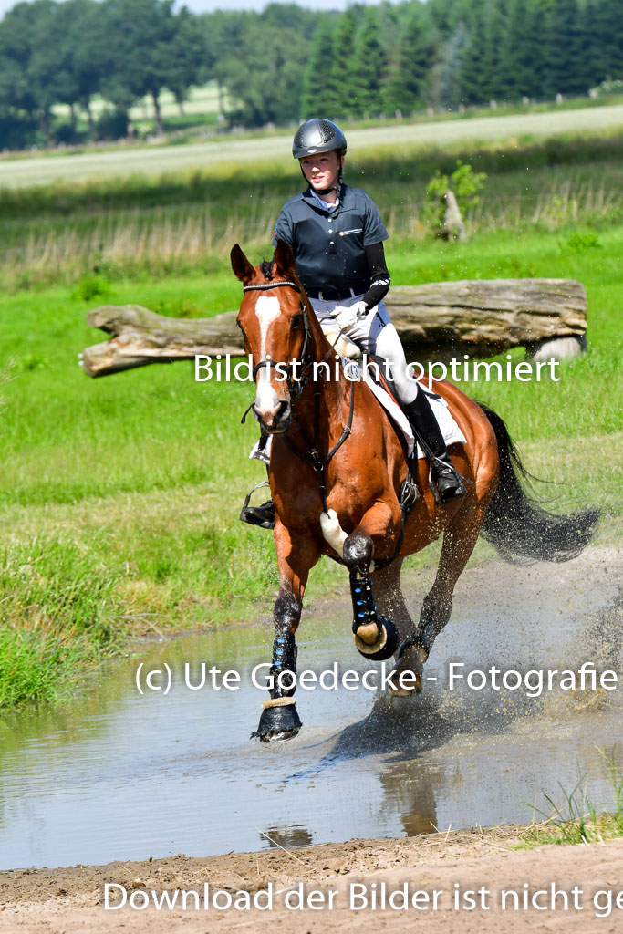 Goldene Schärpe PFerde  in Löningen  11+12.6.22 | 11062022 - Gelände 1 Abt_0442 
