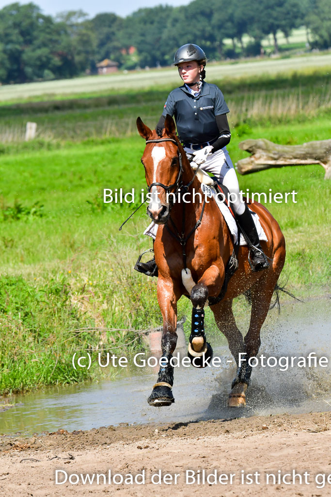 Goldene Schärpe PFerde  in Löningen  11+12.6.22 | 11062022 - Gelände 1 Abt_0444 