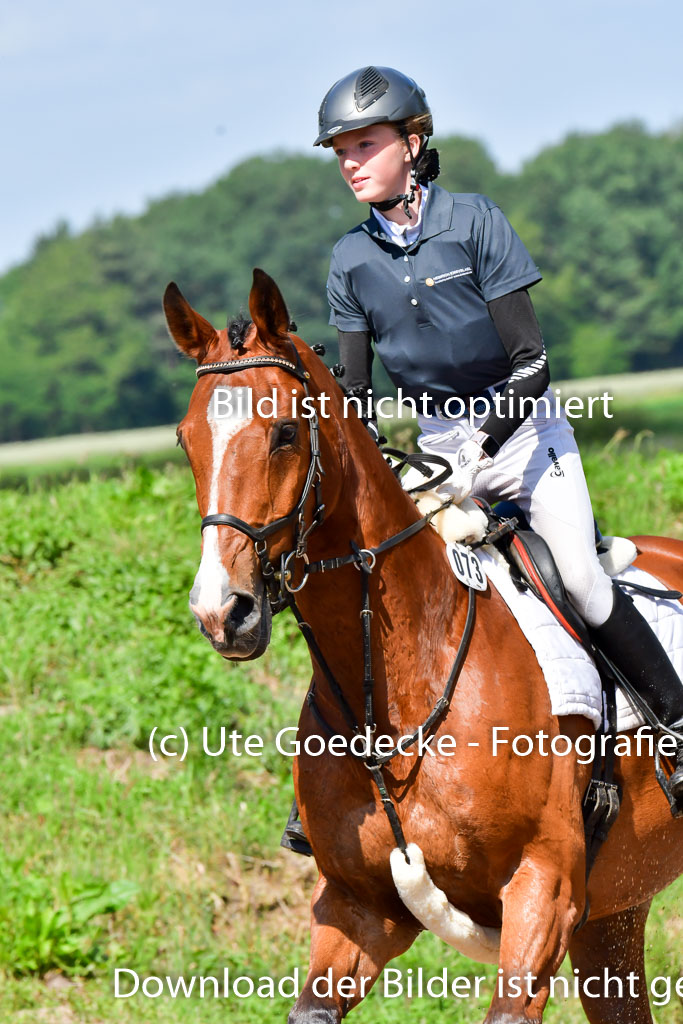 Goldene Schärpe PFerde  in Löningen  11+12.6.22 | 11062022 - Gelände 1 Abt_0445 