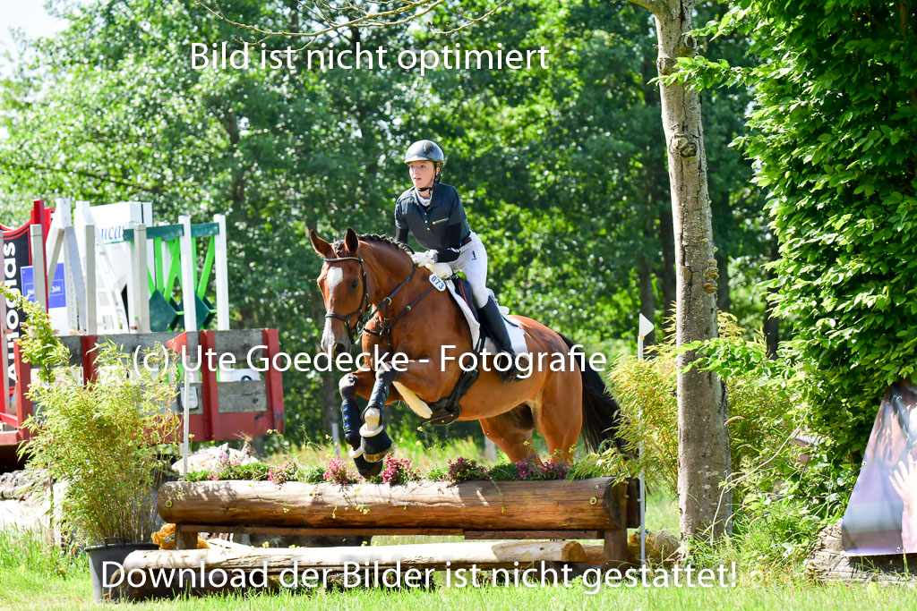 Goldene Schärpe PFerde  in Löningen  11+12.6.22 | 11062022 - Gelände 1 Abt_0446 