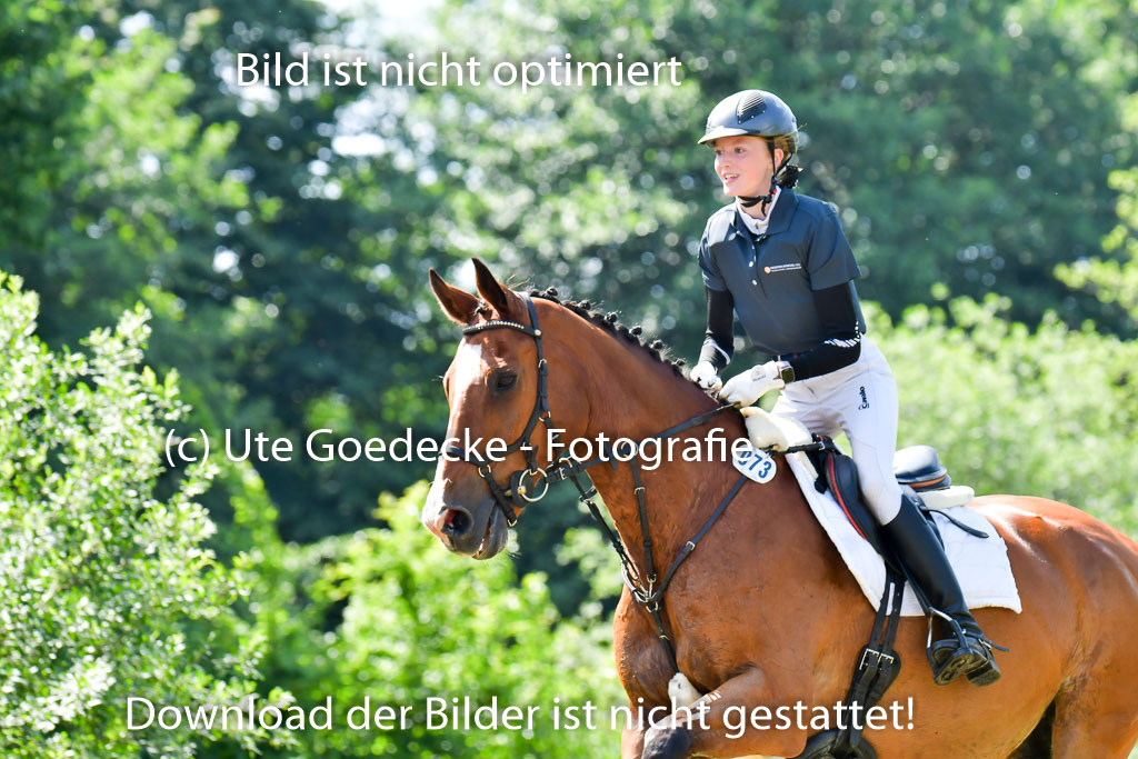Goldene Schärpe PFerde  in Löningen  11+12.6.22 | 11062022 - Gelände 1 Abt_0448 
