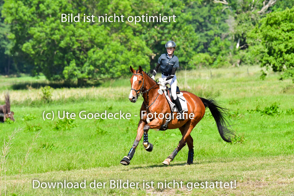 Goldene Schärpe PFerde  in Löningen  11+12.6.22 | 11062022 - Gelände 1 Abt_0449 