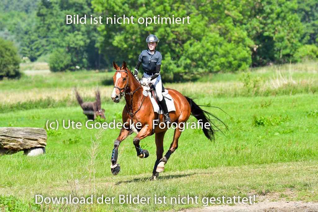 Goldene Schärpe PFerde  in Löningen  11+12.6.22 | 11062022 - Gelände 1 Abt_0450 