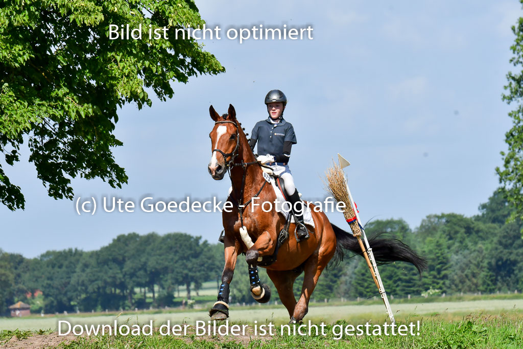 Goldene Schärpe PFerde  in Löningen  11+12.6.22 | 11062022 - Gelände 1 Abt_0451 