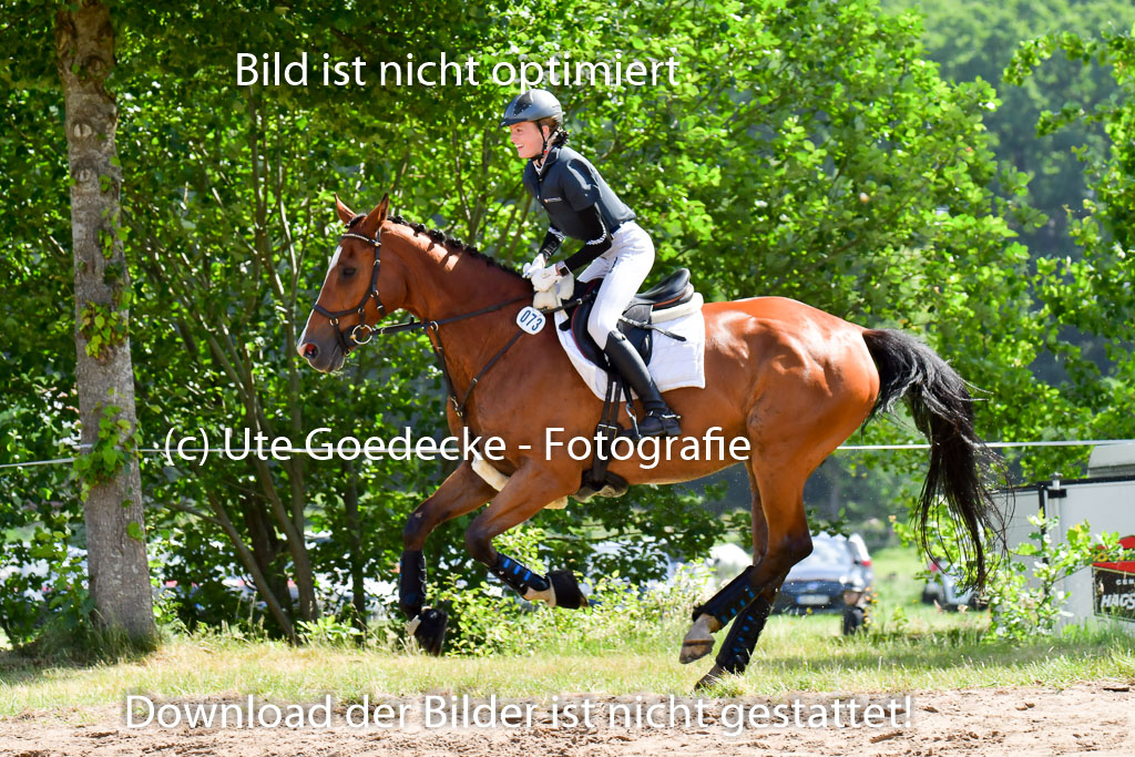 Goldene Schärpe PFerde  in Löningen  11+12.6.22 | 11062022 - Gelände 1 Abt_0455 