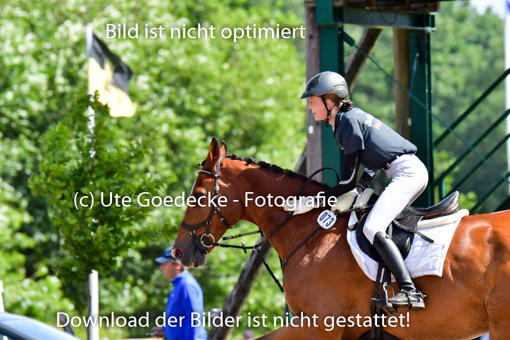 Goldene Schärpe PFerde  in Löningen  11+12.6.22 | 11062022 - Gelände 1 Abt_0456 