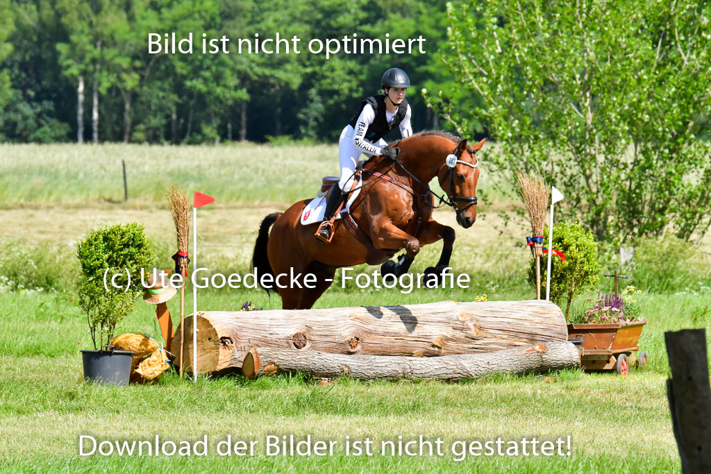 Goldene Schärpe PFerde  in Löningen  11+12.6.22 | 11062022 - Gelände 1 Abt_0457 