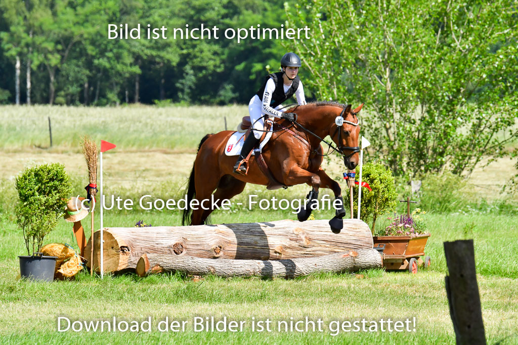 Goldene Schärpe PFerde  in Löningen  11+12.6.22 | 11062022 - Gelände 1 Abt_0458 