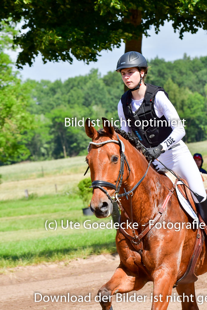 Goldene Schärpe PFerde  in Löningen  11+12.6.22 | 11062022 - Gelände 1 Abt_0460 