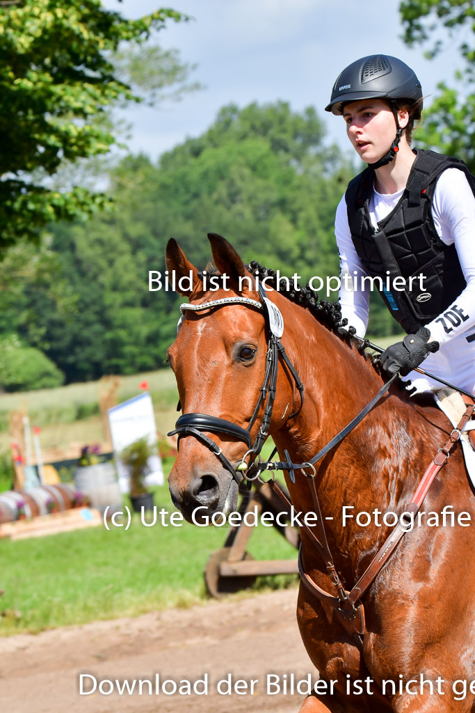 Goldene Schärpe PFerde  in Löningen  11+12.6.22 | 11062022 - Gelände 1 Abt_0461 