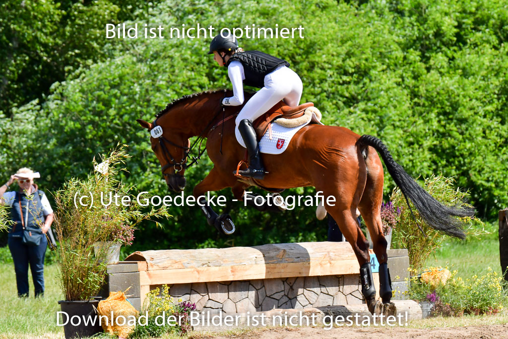 Goldene Schärpe PFerde  in Löningen  11+12.6.22 | 11062022 - Gelände 1 Abt_0462 