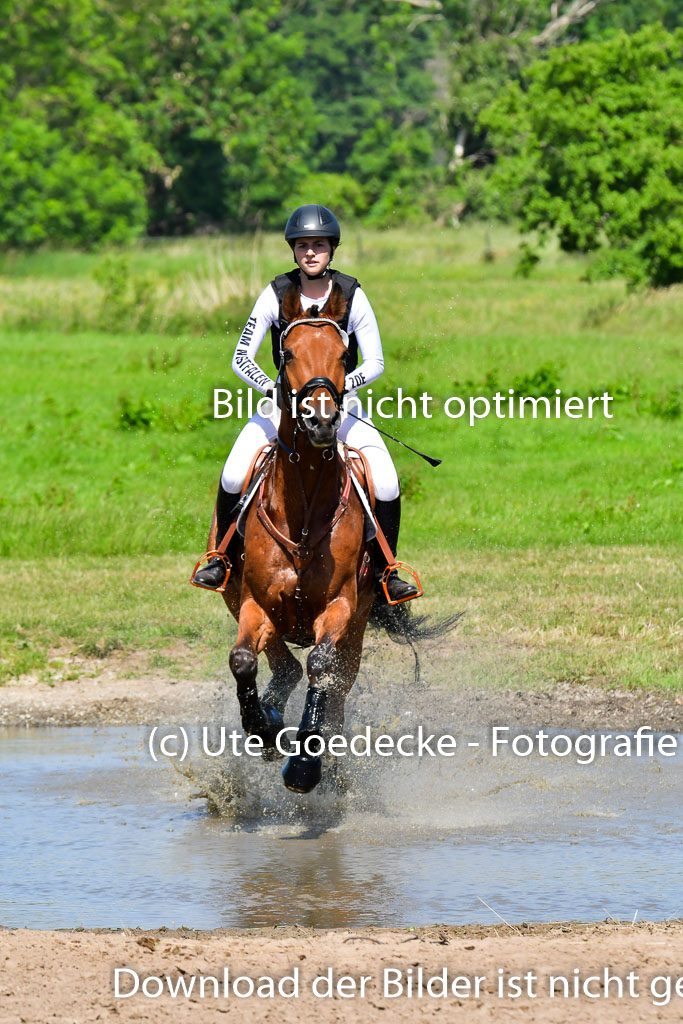 Goldene Schärpe PFerde  in Löningen  11+12.6.22 | 11062022 - Gelände 1 Abt_0465 