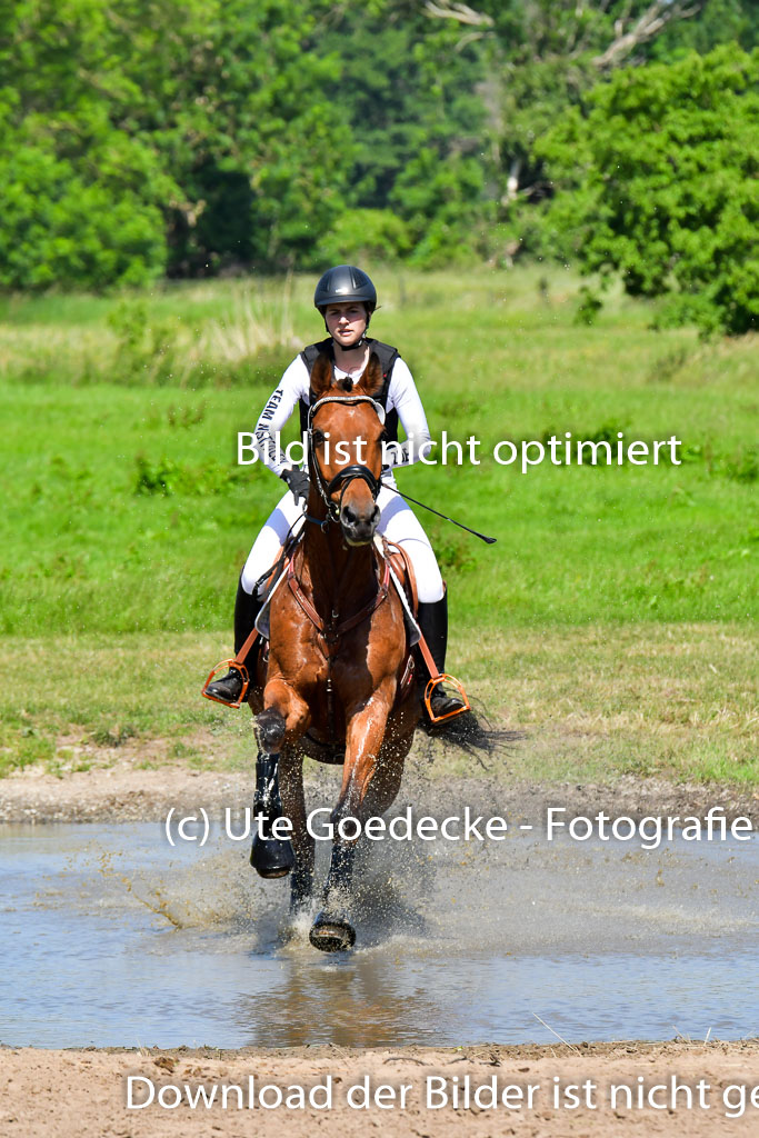 Goldene Schärpe PFerde  in Löningen  11+12.6.22 | 11062022 - Gelände 1 Abt_0466 