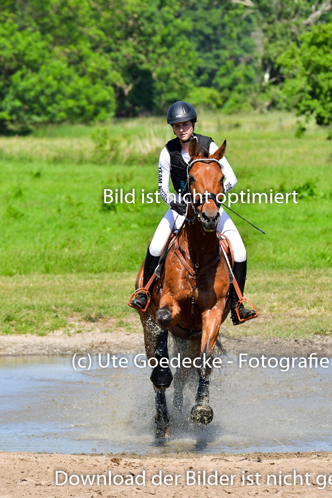 Goldene Schärpe PFerde  in Löningen  11+12.6.22 | 11062022 - Gelände 1 Abt_0468 