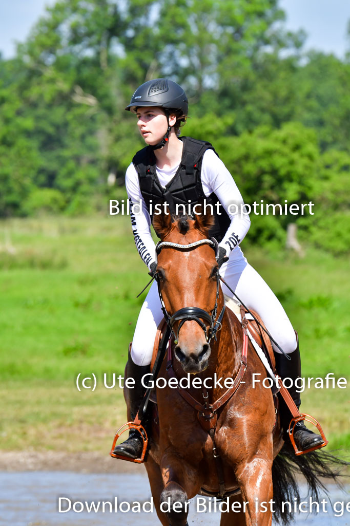 Goldene Schärpe PFerde  in Löningen  11+12.6.22 | 11062022 - Gelände 1 Abt_0470 
