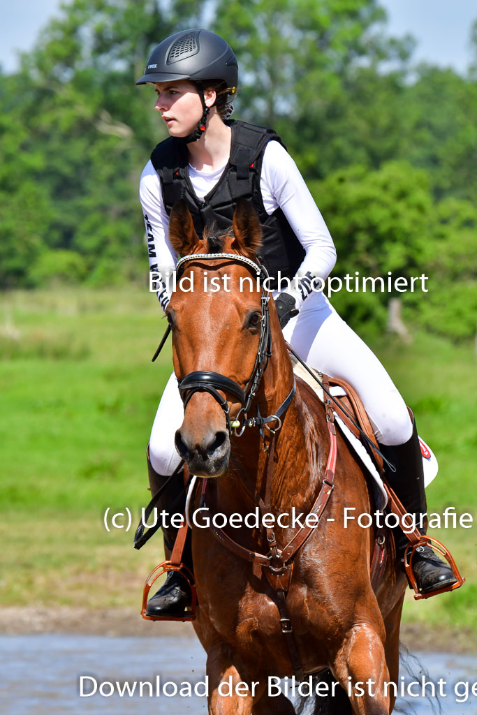 Goldene Schärpe PFerde  in Löningen  11+12.6.22 | 11062022 - Gelände 1 Abt_0471 