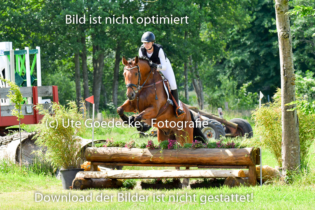 Goldene Schärpe PFerde  in Löningen  11+12.6.22 | 11062022 - Gelände 1 Abt_0472 