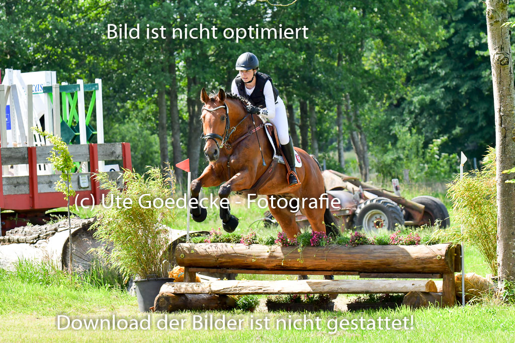 Goldene Schärpe PFerde  in Löningen  11+12.6.22 | 11062022 - Gelände 1 Abt_0473 
