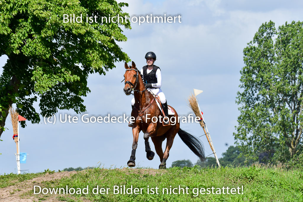 Goldene Schärpe PFerde  in Löningen  11+12.6.22 | 11062022 - Gelände 1 Abt_0476 