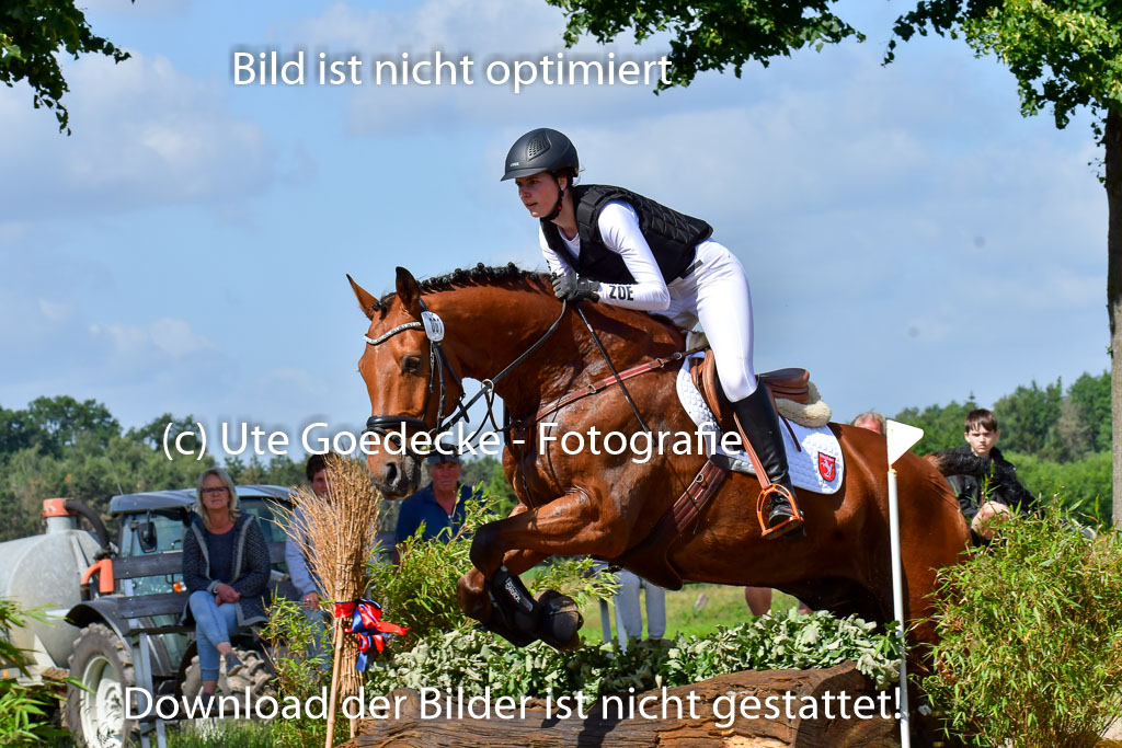 Goldene Schärpe PFerde  in Löningen  11+12.6.22 | 11062022 - Gelände 1 Abt_0477 