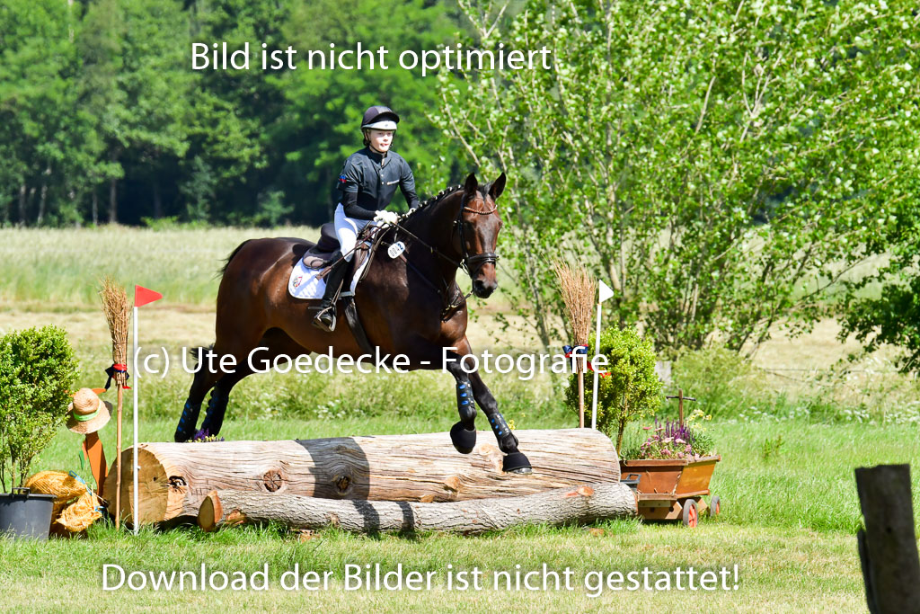 Goldene Schärpe PFerde  in Löningen  11+12.6.22 | 11062022 - Gelände 1 Abt_0483 