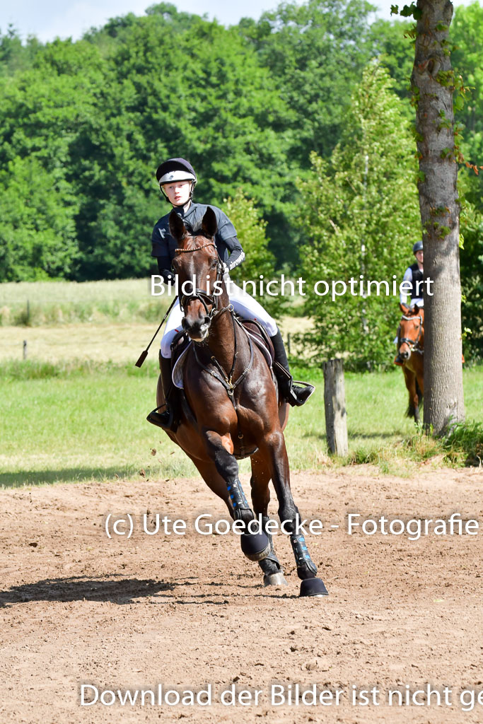 Goldene Schärpe PFerde  in Löningen  11+12.6.22 | 11062022 - Gelände 1 Abt_0484 