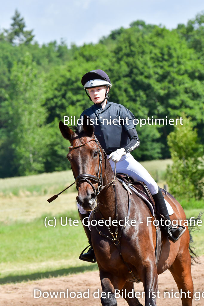 Goldene Schärpe PFerde  in Löningen  11+12.6.22 | 11062022 - Gelände 1 Abt_0485 