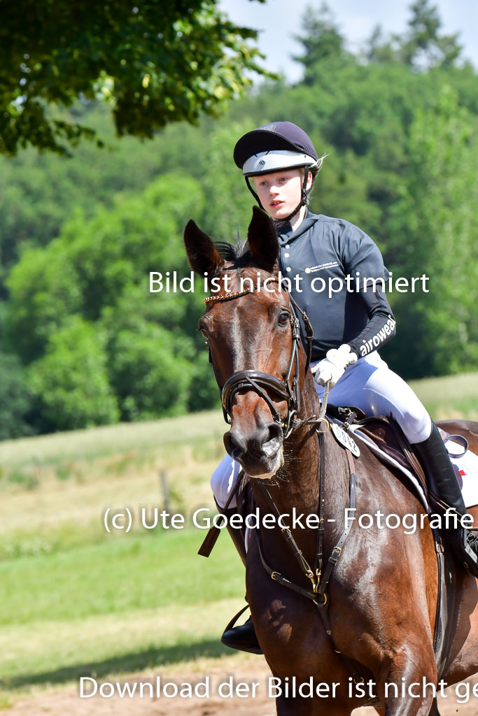 Goldene Schärpe PFerde  in Löningen  11+12.6.22 | 11062022 - Gelände 1 Abt_0486 