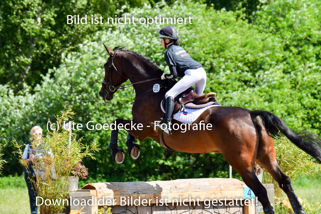 Goldene Schärpe PFerde  in Löningen  11+12.6.22 | 11062022 - Gelände 1 Abt_0487 