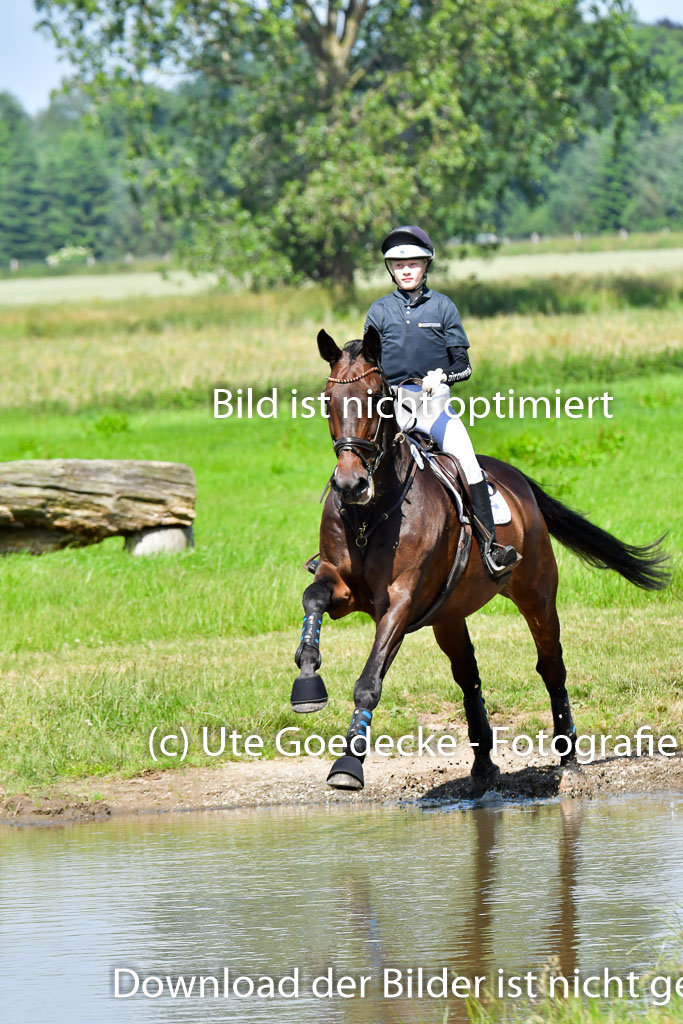 Goldene Schärpe PFerde  in Löningen  11+12.6.22 | 11062022 - Gelände 1 Abt_0488 