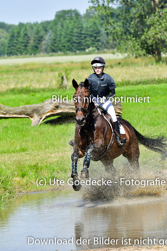 Goldene Schärpe PFerde  in Löningen  11+12.6.22 | 11062022 - Gelände 1 Abt_0490 