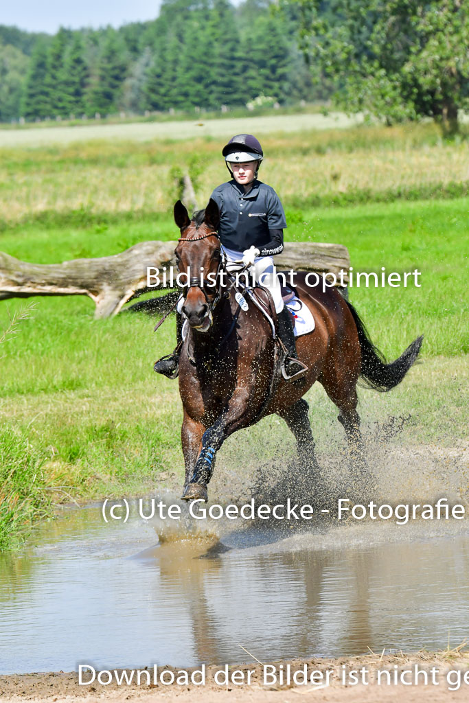Goldene Schärpe PFerde  in Löningen  11+12.6.22 | 11062022 - Gelände 1 Abt_0491 