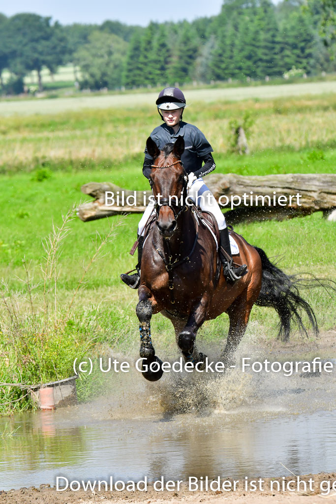 Goldene Schärpe PFerde  in Löningen  11+12.6.22 | 11062022 - Gelände 1 Abt_0492 