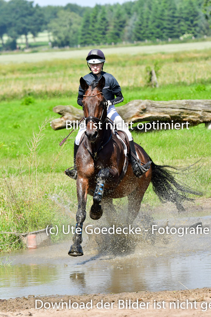 Goldene Schärpe PFerde  in Löningen  11+12.6.22 | 11062022 - Gelände 1 Abt_0493 