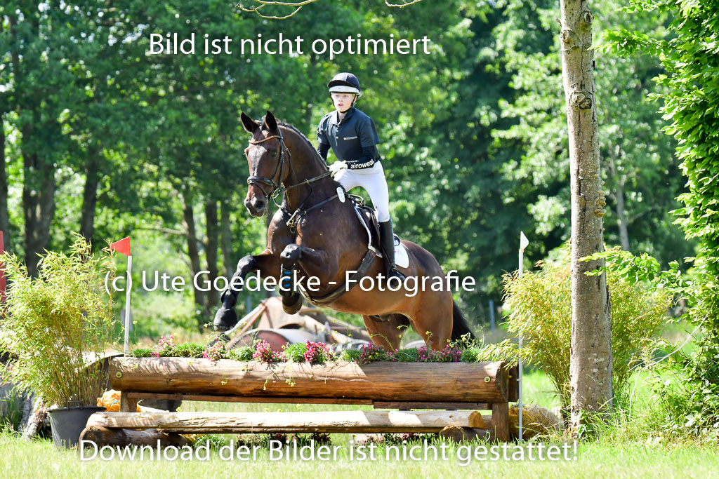 Goldene Schärpe PFerde  in Löningen  11+12.6.22 | 11062022 - Gelände 1 Abt_0495 