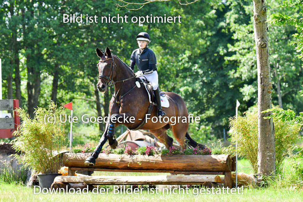 Goldene Schärpe PFerde  in Löningen  11+12.6.22 | 11062022 - Gelände 1 Abt_0496 