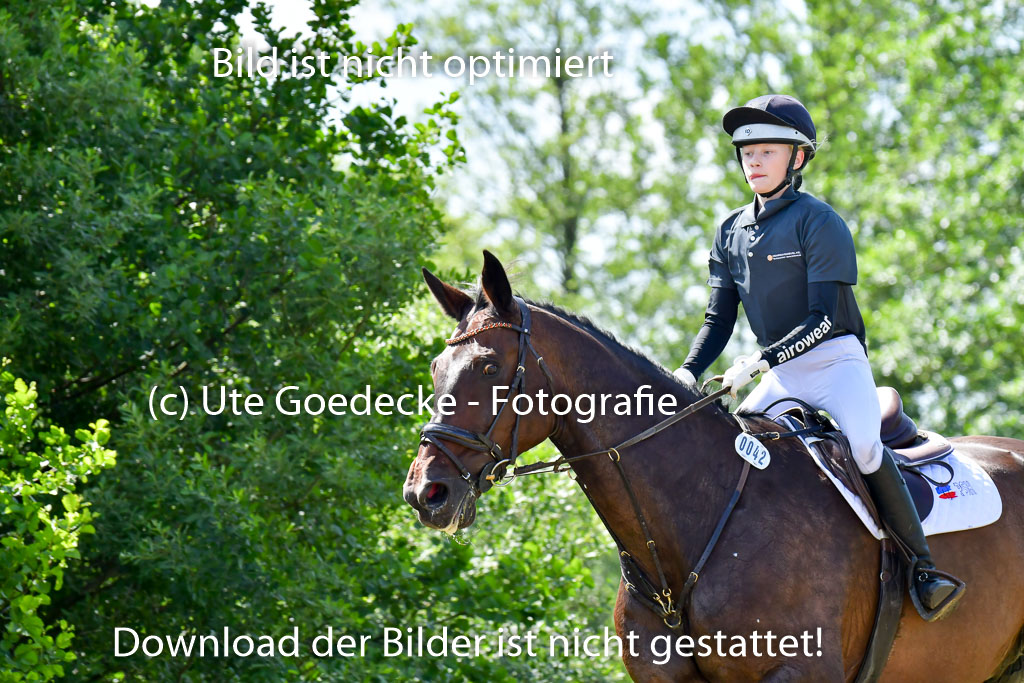 Goldene Schärpe PFerde  in Löningen  11+12.6.22 | 11062022 - Gelände 1 Abt_0497 