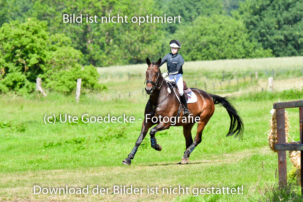 Goldene Schärpe PFerde  in Löningen  11+12.6.22 | 11062022 - Gelände 1 Abt_0498 