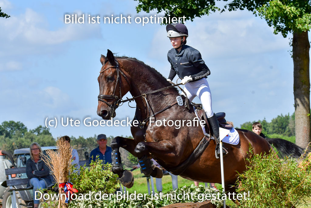 Goldene Schärpe PFerde  in Löningen  11+12.6.22 | 11062022 - Gelände 1 Abt_0500 