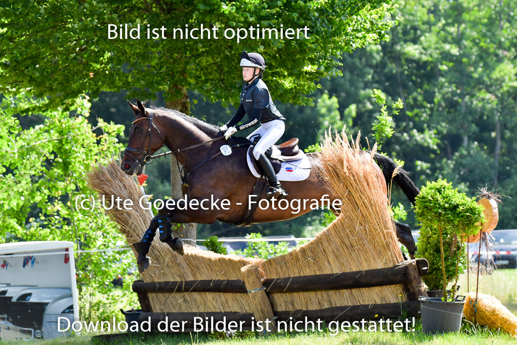 Goldene Schärpe PFerde  in Löningen  11+12.6.22 | 11062022 - Gelände 1 Abt_0501 