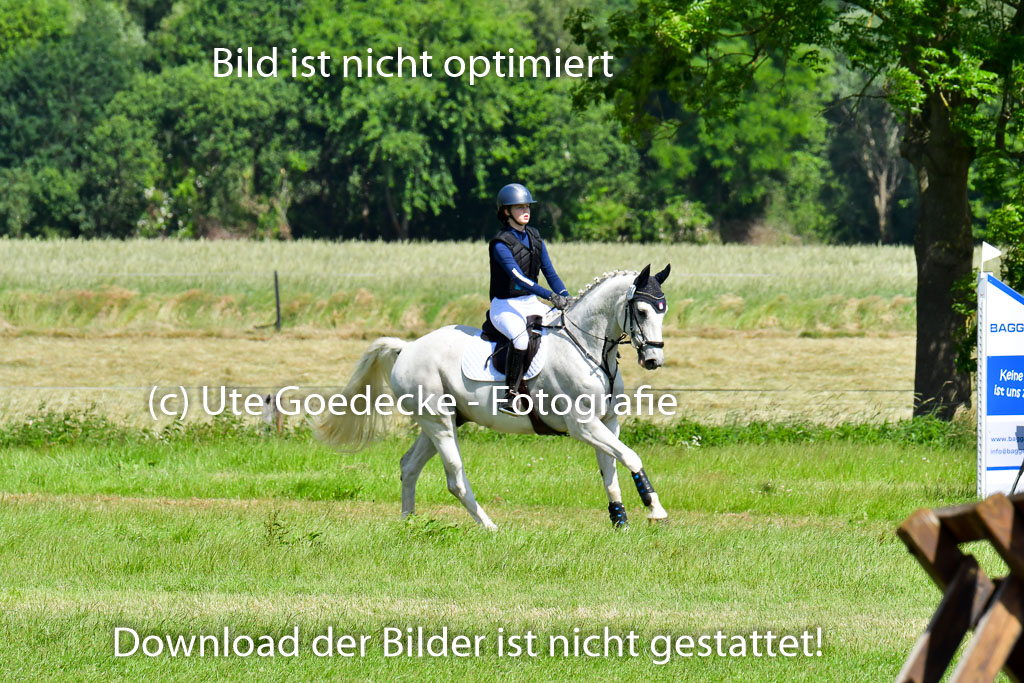 Goldene Schärpe PFerde  in Löningen  11+12.6.22 | 11062022 - Gelände 1 Abt_0504 