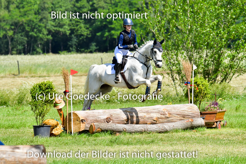 Goldene Schärpe PFerde  in Löningen  11+12.6.22 | 11062022 - Gelände 1 Abt_0506 