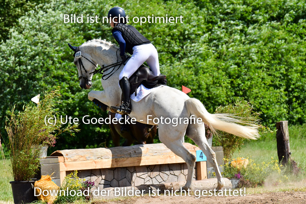 Goldene Schärpe PFerde  in Löningen  11+12.6.22 | 11062022 - Gelände 1 Abt_0510 