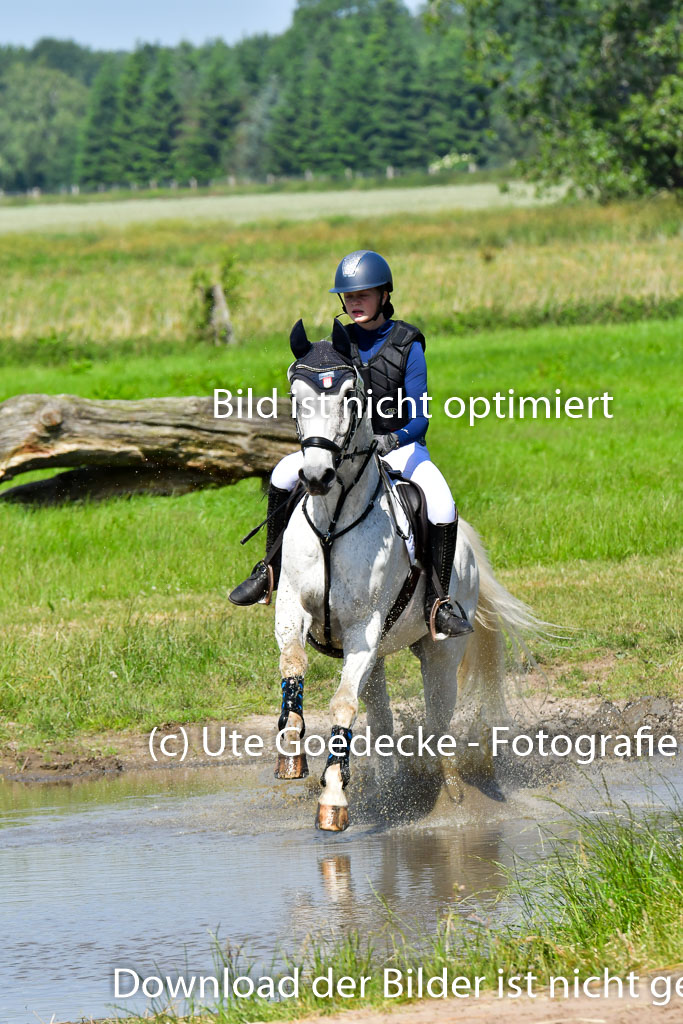 Goldene Schärpe PFerde  in Löningen  11+12.6.22 | 11062022 - Gelände 1 Abt_0511 